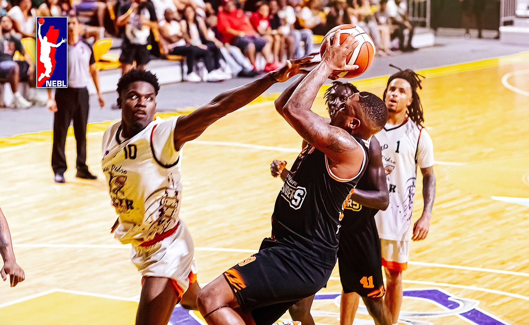 San Pedro Tiger Sharks Fall in NEBL Semi-Finals After Strong Season