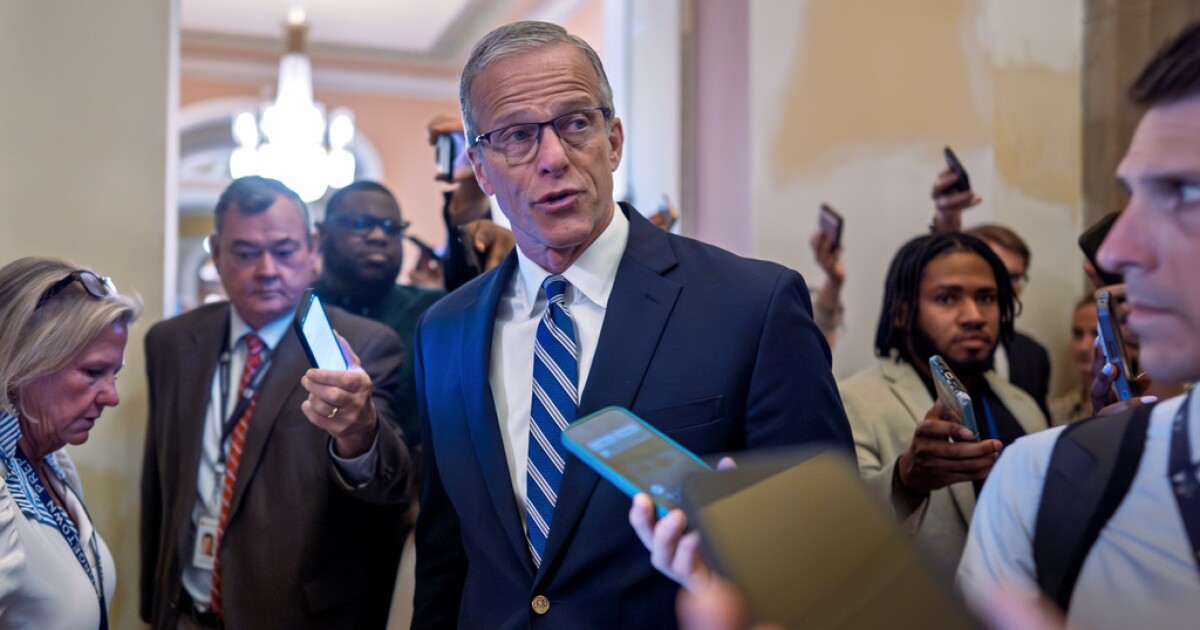 Senate passes ICE, Border Patrol funding after fight over Trump settlement fund