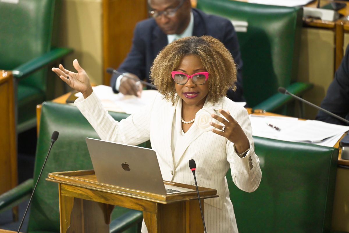 Senate passes amendments to Civil Aviation Act