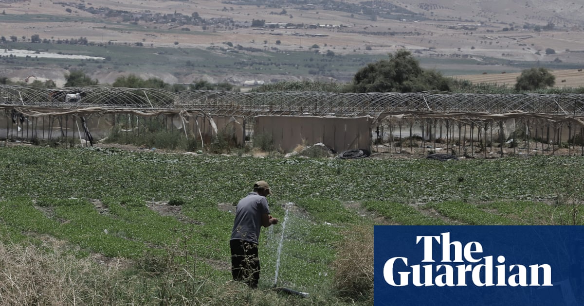 Settler products from occupied Palestine sold to Europe as Israeli, investigation finds | Palestine
