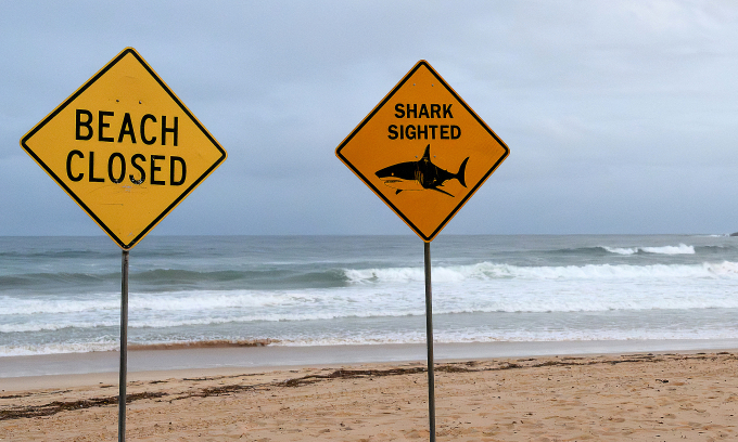 Shark kills diver off Western Australia