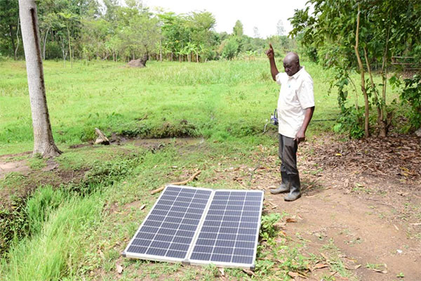 Solar irrigation powering a cocoa revolution in Lira through Equity Bank