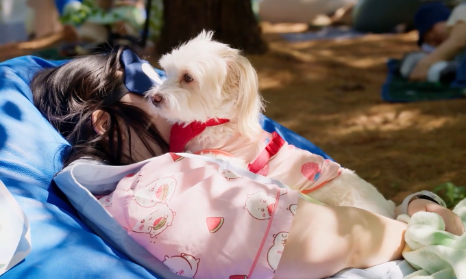 South Korea's cutest competition sees who naps best in owner-pup contest