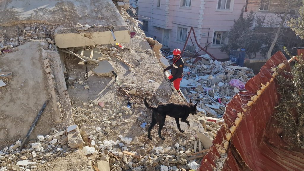 Spain joins international relief effort after devastating Venezuela earthquakes