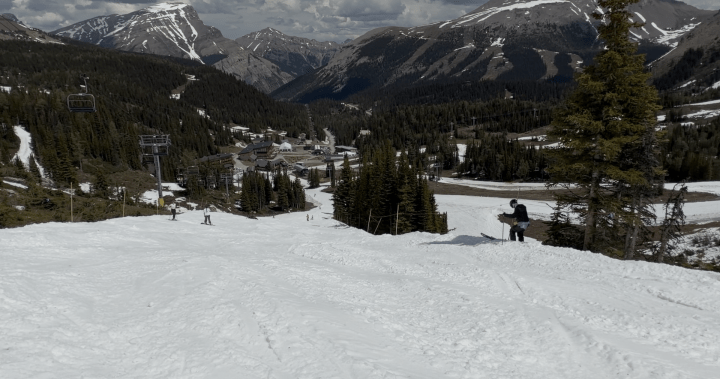 Summer skiing at Sunshine Village draws skiers from Alberta and beyond