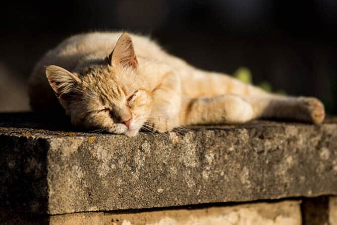 cover Sunny and hot, temperatures peak at 37C
