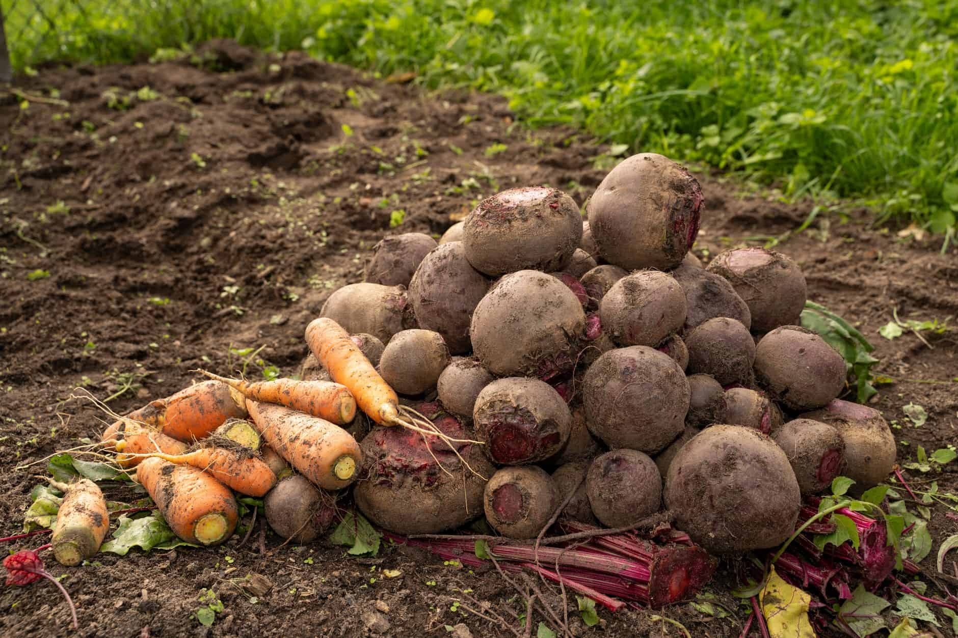Swiss food-security initiative criticised as unrealistic