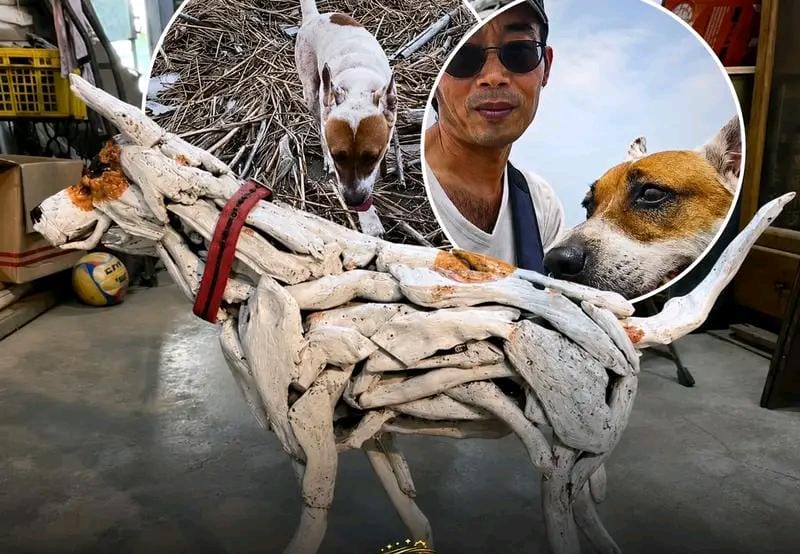 Taiwanese artist Liang Renchuan turns driftwood into lifelike tribute to late dog