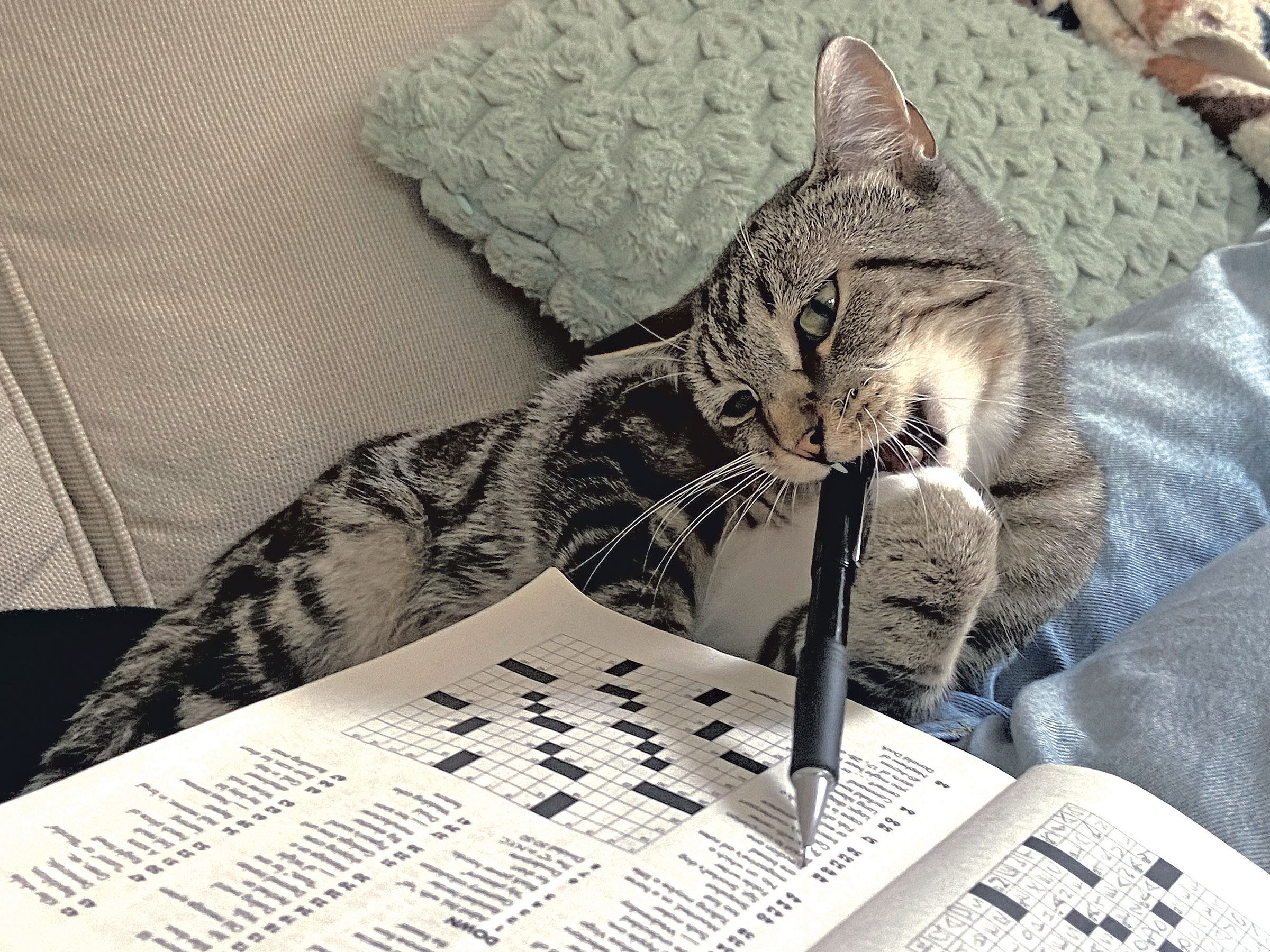 The Animal Issue Will Give You Fuzzy Feelings