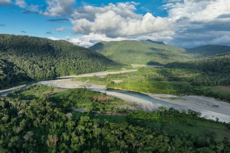 The Ideas Shaping Environmental Action