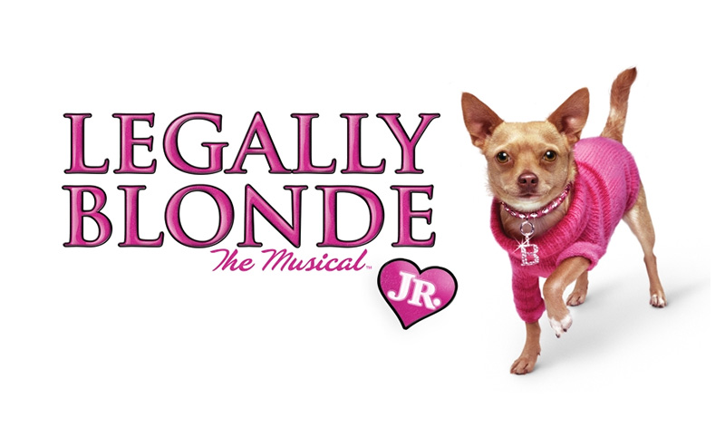 The Verdict Is In: Stage 13 Brings ‘Legally Blonde Jr.’ to Wildwood