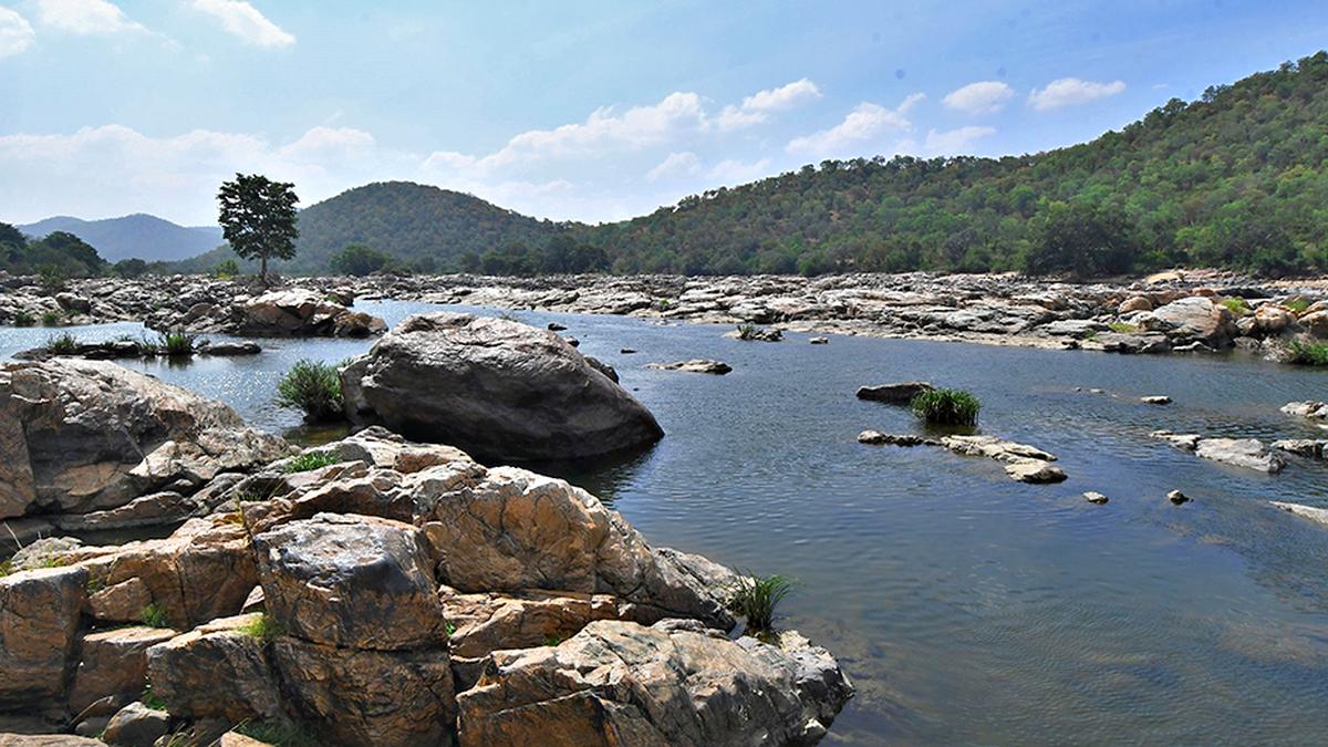The controversy over the proposed Mekedatu water project