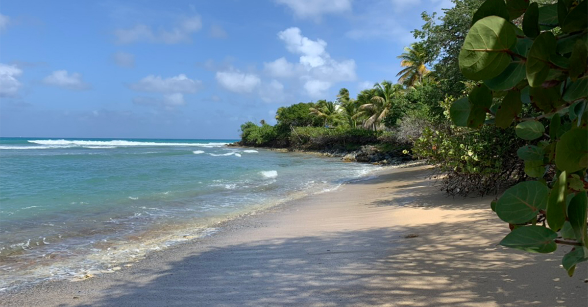 st croix beach shoys