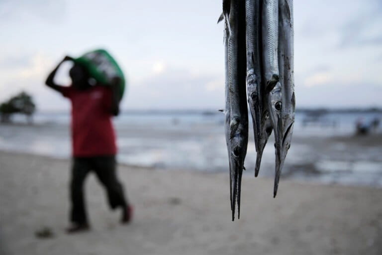 To improve its floundering fisheries, Kenya boosts data collection on artisanal fleet