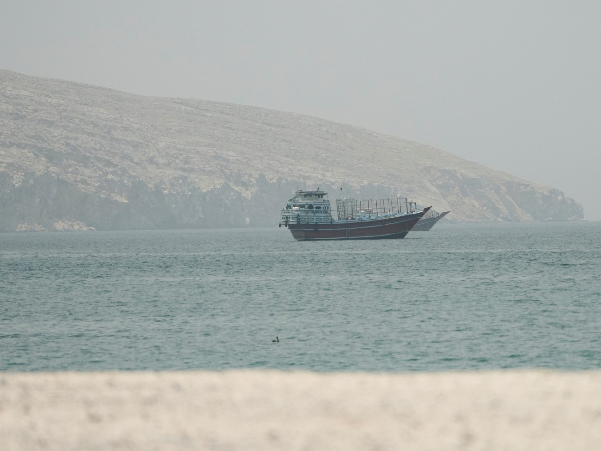 UN agency pauses Hormuz ship evacuation initiative after vessel attacked | US-Israel war on Iran News