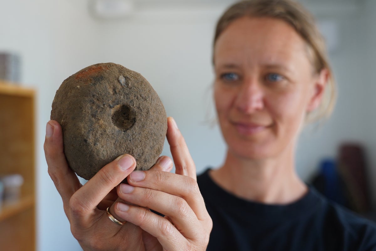 Vast Viking factory unearthed in Denmark challenges myths of barbaric ancient society