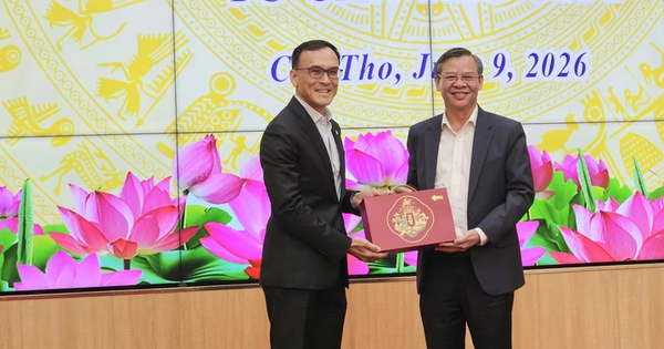 Vietnam’s Can Tho encourages Singaporean firms to invest in key fields