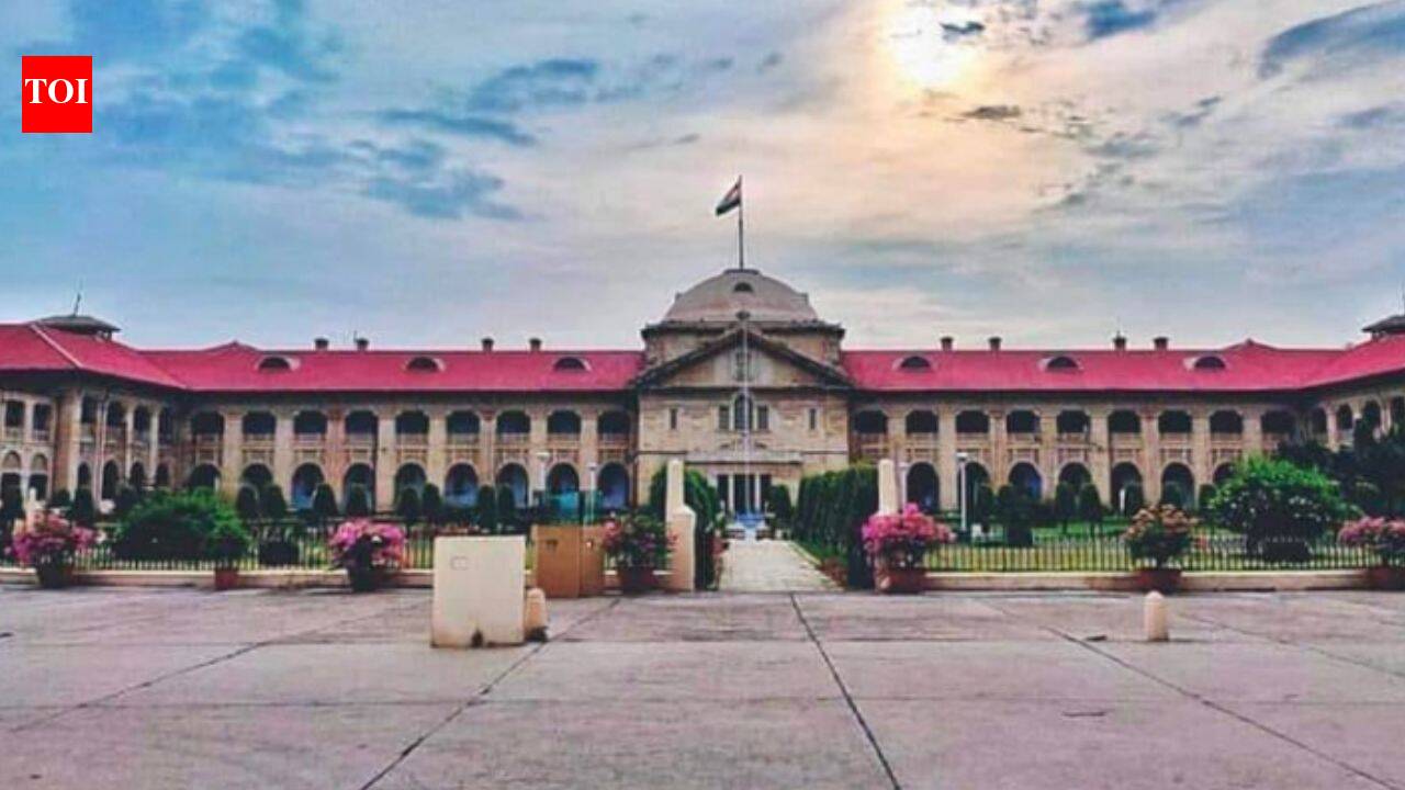 Village heads in UP can’t be allowed to continue as administrators, says Allahabad high court | Prayagraj News