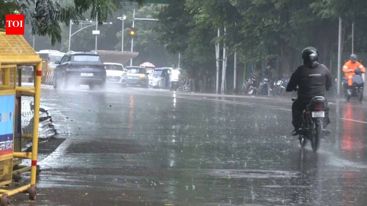 Watch: Heavy rain batters Mumbai, Thane; Malshej Ghat hit by landslide, waterlogging disrupts traffic | Mumbai News