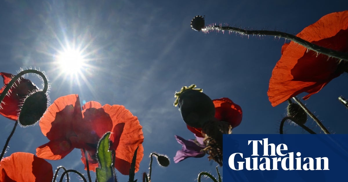 Weather tracker: Saharan heat to send temperatures soaring across Europe | Czechia