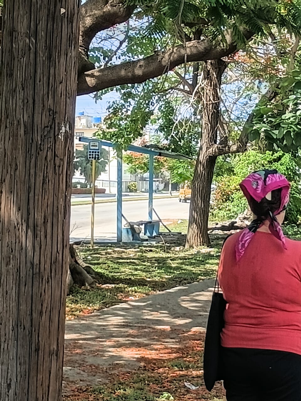 What Are We Waiting for at the Bus Stop?
