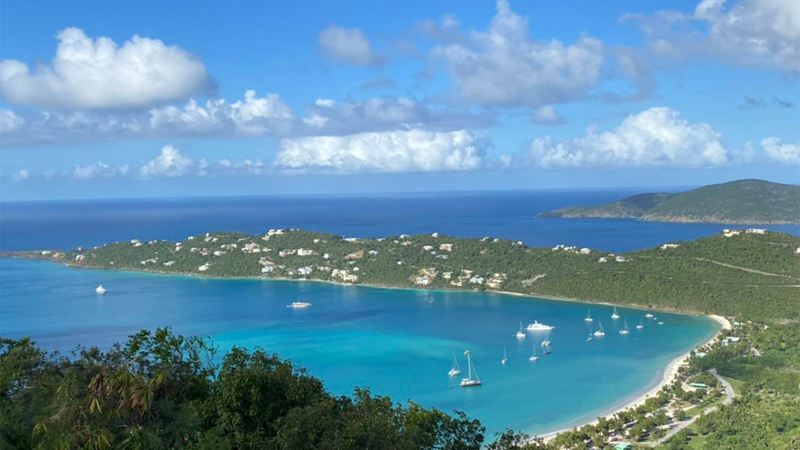 caribbean film