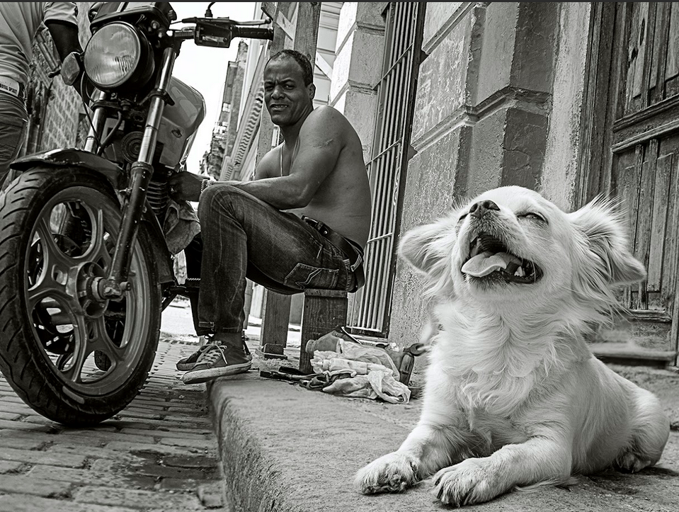 What the Havana Times Reader Survey Revealed