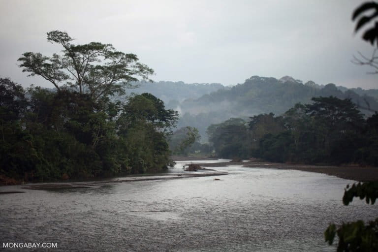 What’s at stake for the environment in Colombia’s upcoming election?