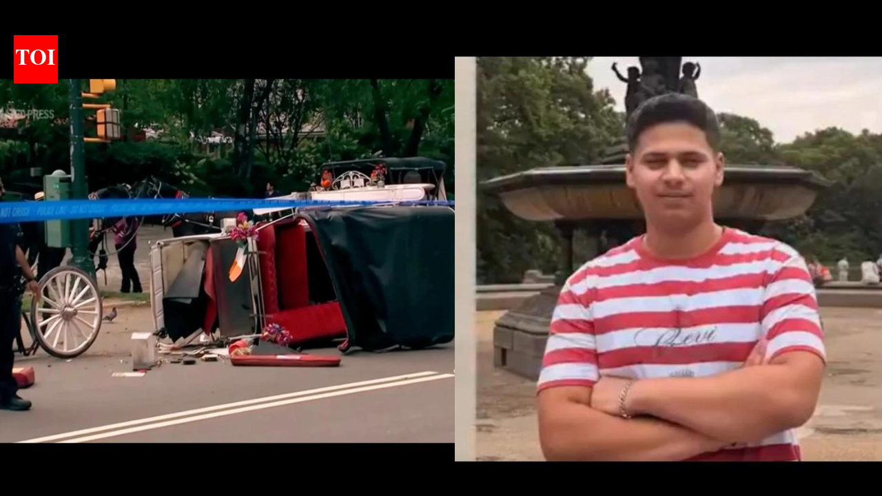 ‘Romanch's Law’: NYC bill which seeks to ban horse carriages named after Indian teen | India News