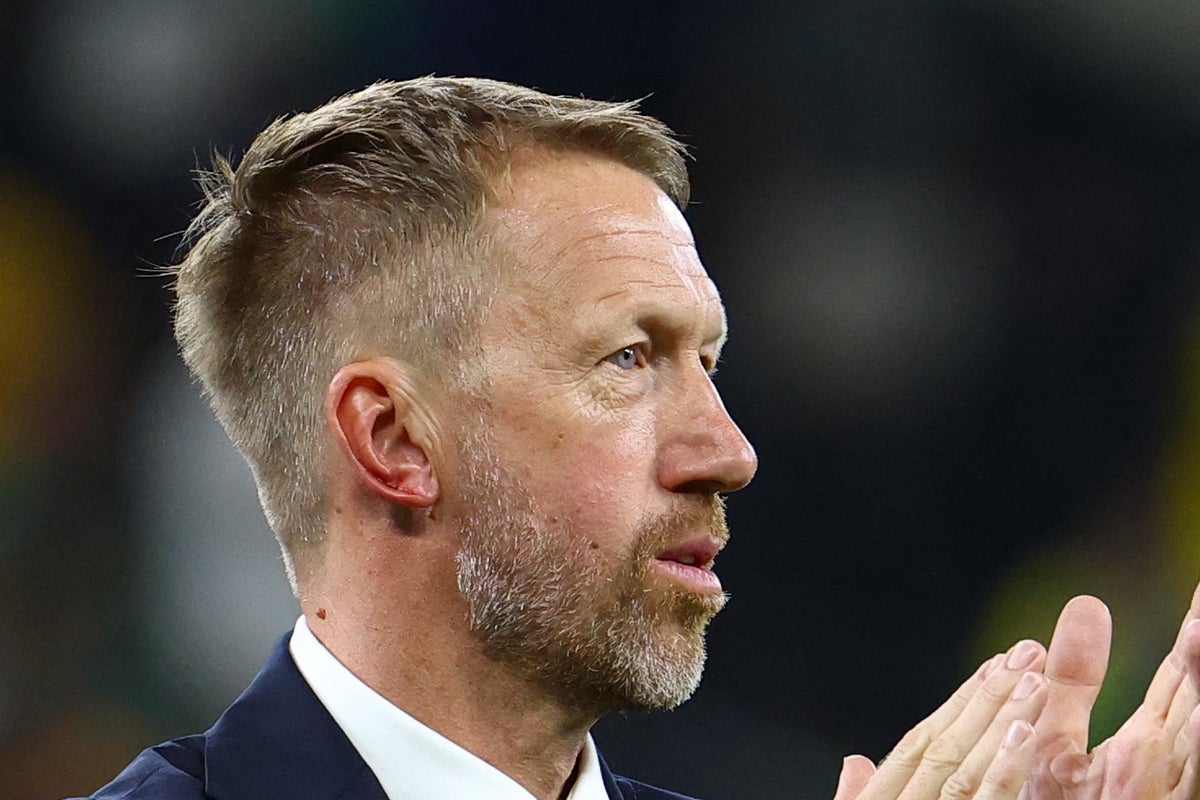 ‘Someone scratched me, or bit me’: Graham Potter responds to bizarre injury in Sweden’s World Cup celebrations