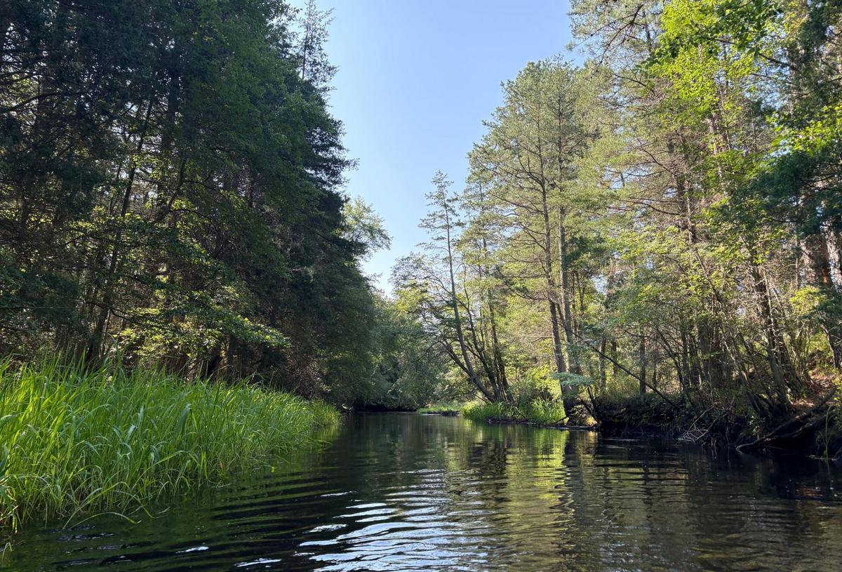 A Six-mile Kayak Route Through Wharton State Forest