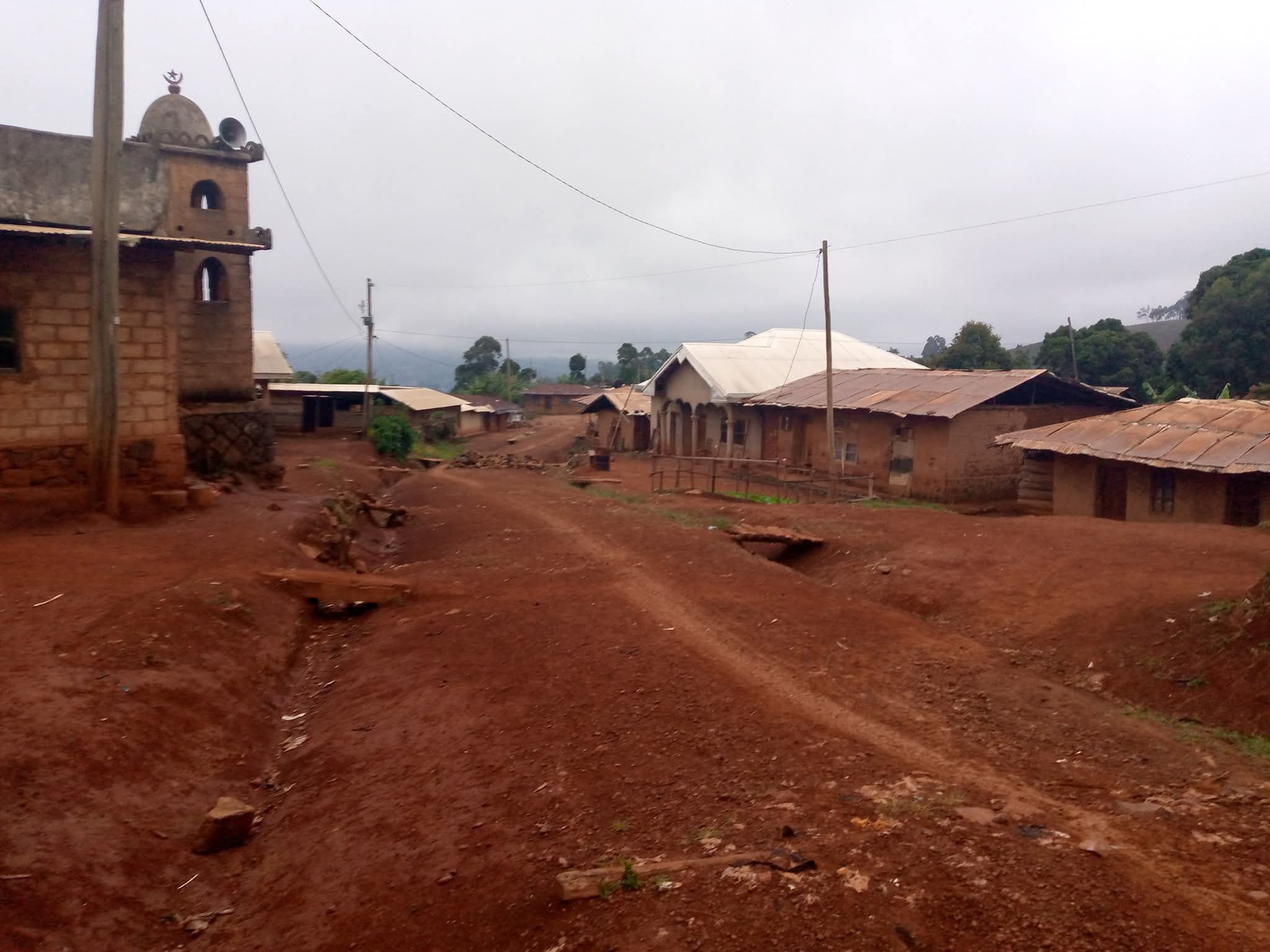 A Weekend of Terror in Bui Division: Kidnappings and a Descent into Despair