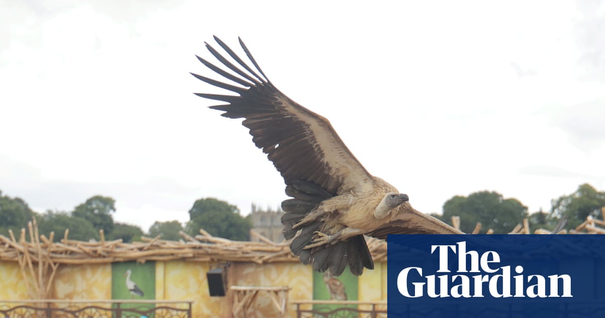A brilliant and bonkers day out: how art and spectacle transformed a former Durham mining town | County Durham