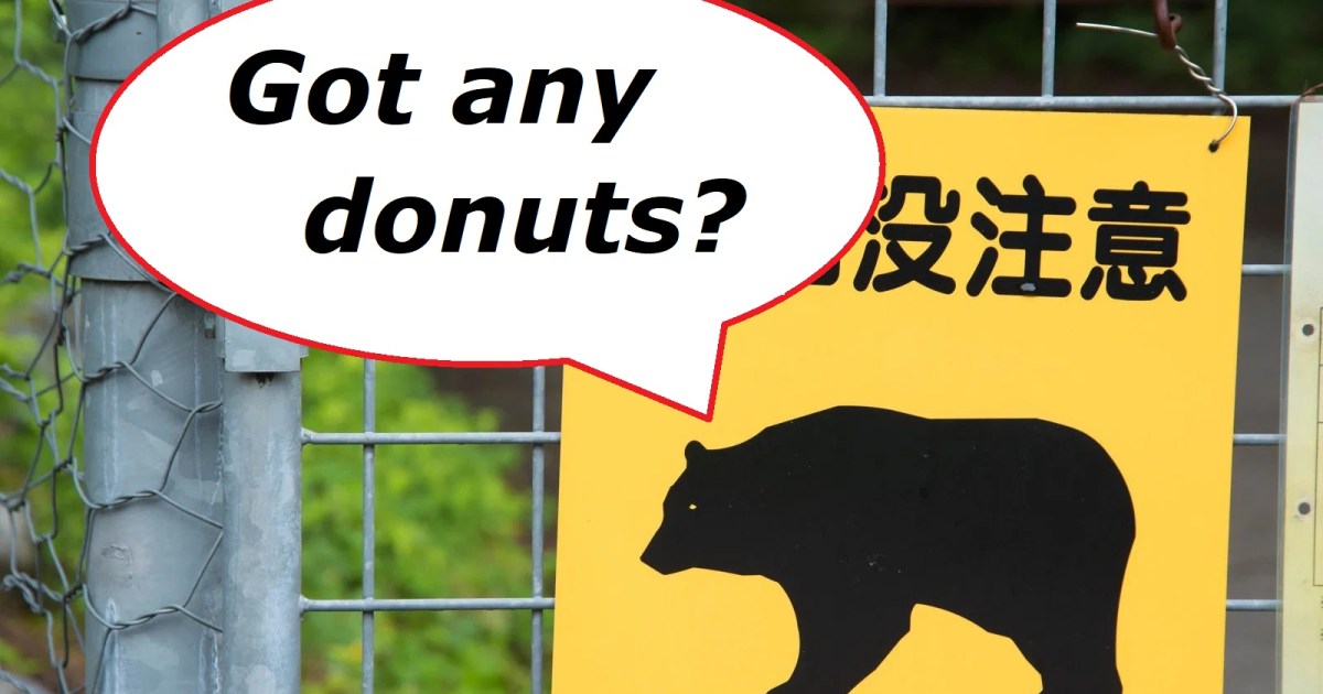 A donut and sugar-loving bear in Japan is breaking into homes, checking fridges for sweet snacks