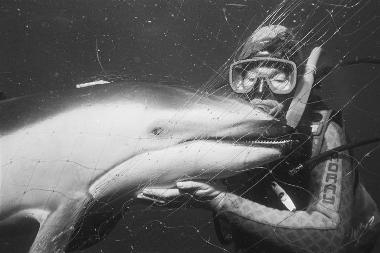 A marine protected area can ban fishing boats. It cannot stop drifting gear
