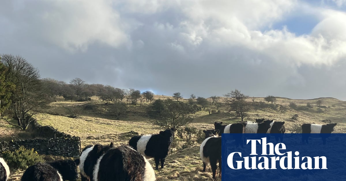 A moving account of farming’s downsides | Brief letters