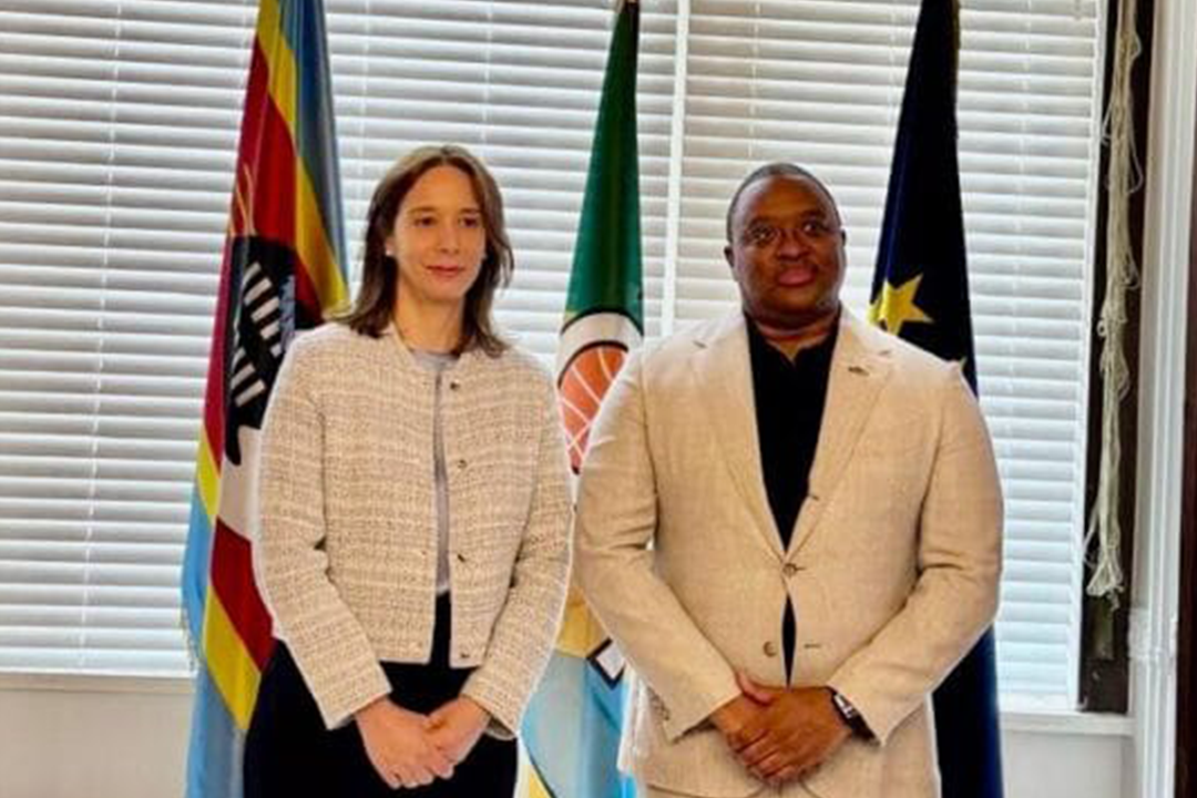 AMBASSADOR SIBUSISIWE ENGAGES EU ON RAIL INFRASTRUCTURE DEVELOPMENT FOR ESWATINI