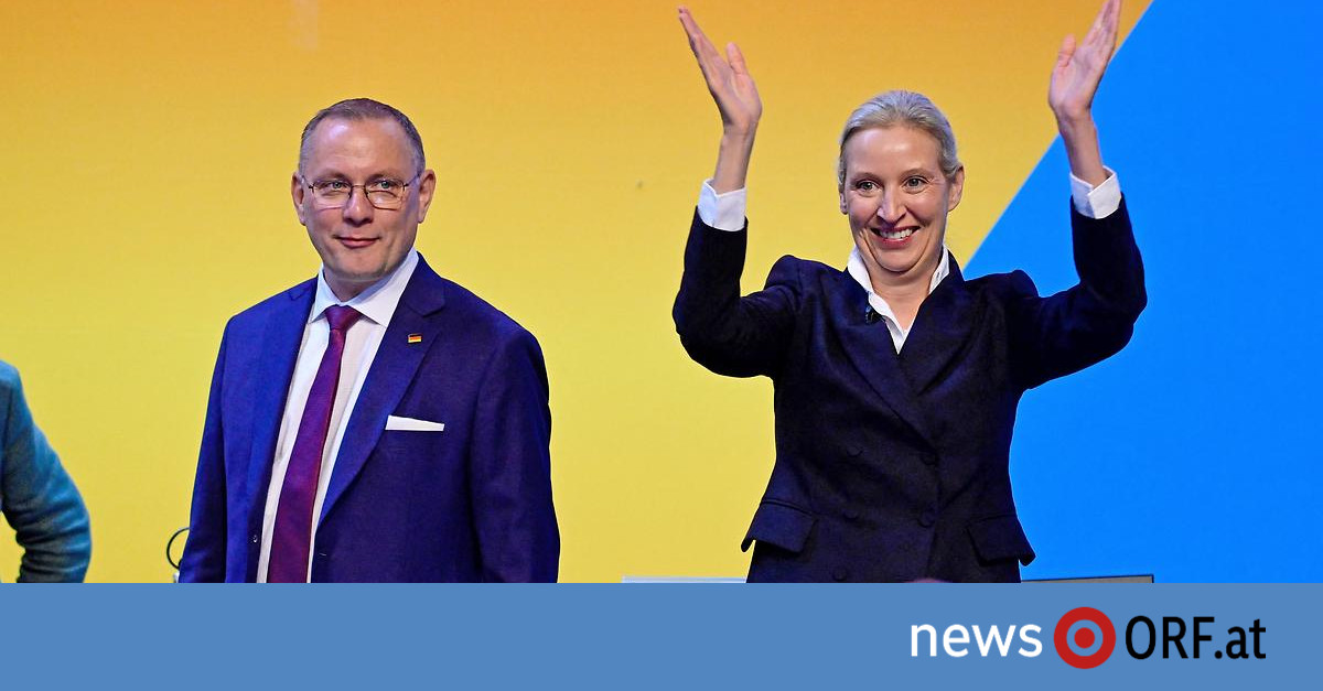 AfD-Parteitag: Weidel und Chrupalla bleiben Vorsitzende