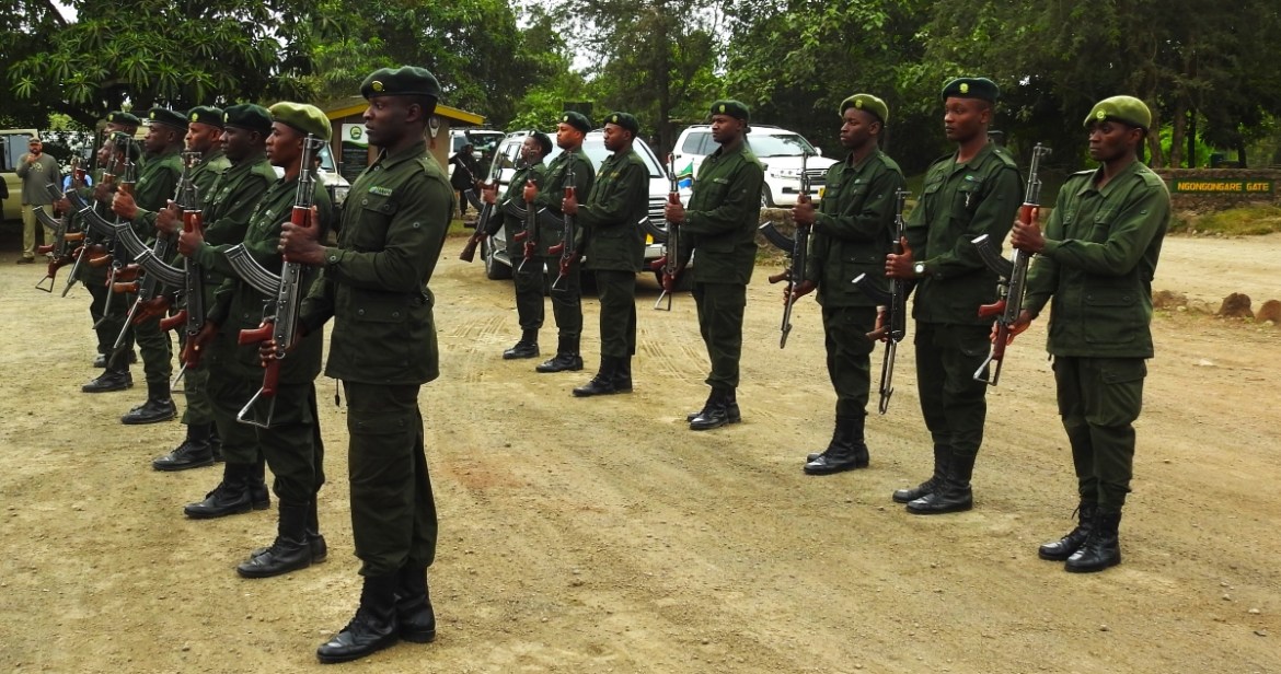 Africa in dire need of 345,000 rangers