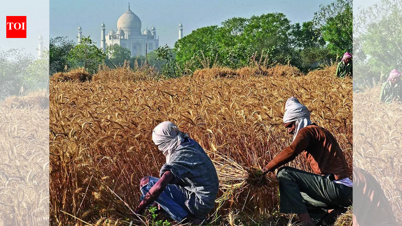Agriculture Data Collection: Statistics ministry flags serious gaps in agriculture data collection | India News