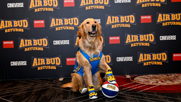 'Air Bud Returns' gets teaser trailer, new release date