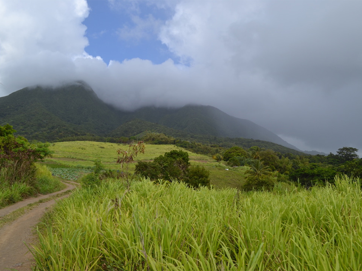 st kitts liamuiga