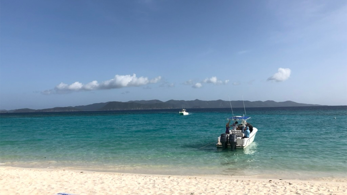 american airlines british virgin islands flights this winter