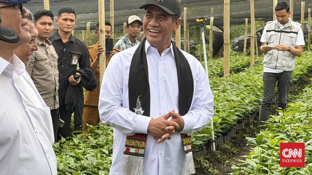 Amran Pastikan Harga Beras RI Stabil di Tengah Gejolak Harga Dunia