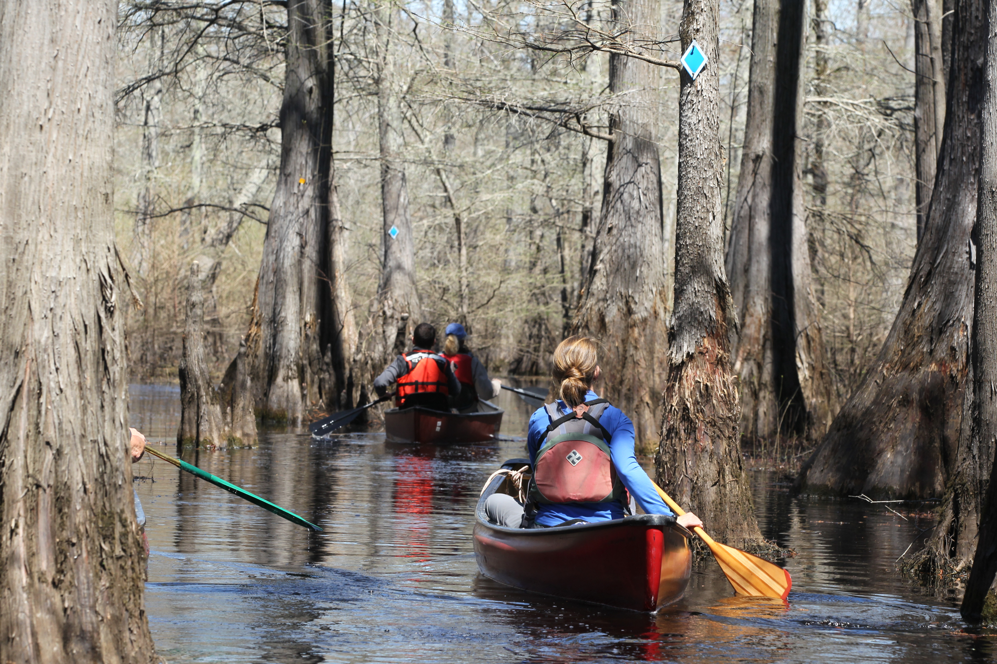 Arkansans must now pay to hike, birdwatch and paddle on Game and Fish lands and lakes