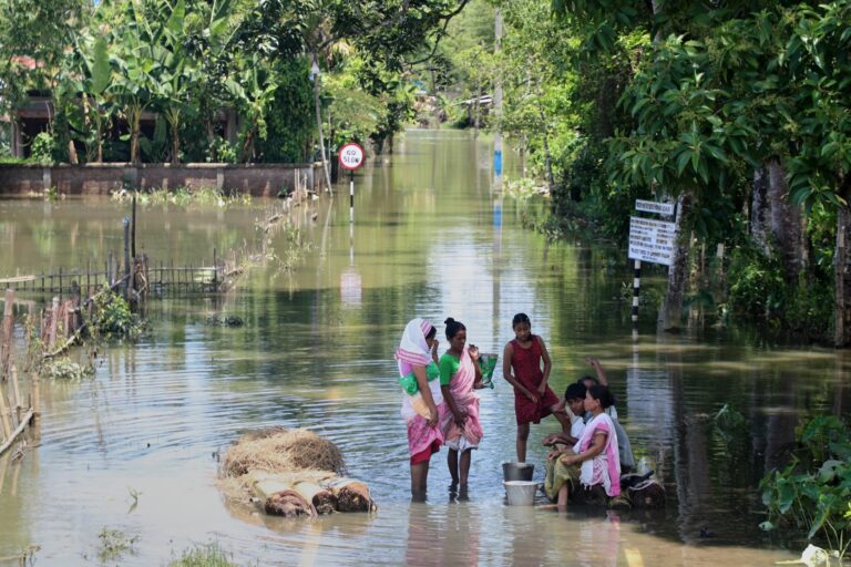 At least 50 people killed and 700,000 displaced by India floods after monsoon rains