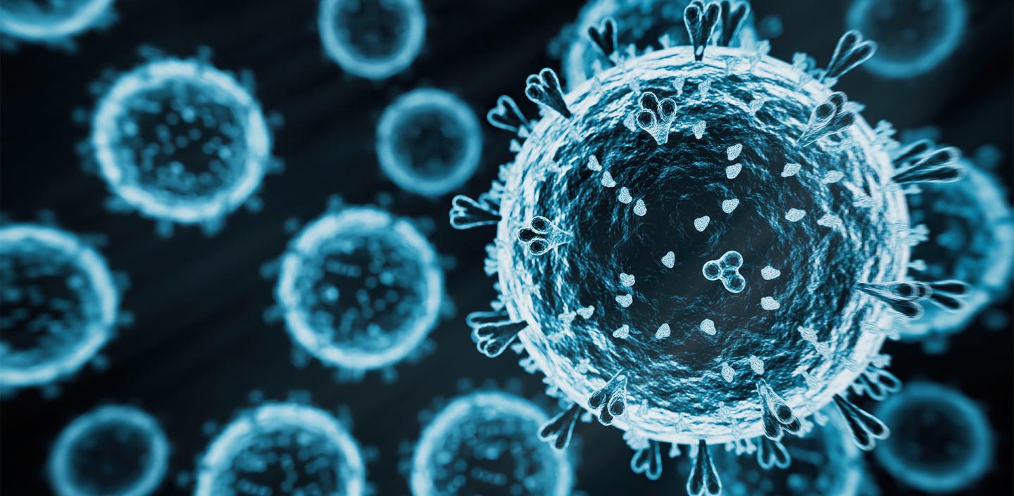 BAHA Issues Avian Influenza Alert After Outbreaks in Honduras and Costa Rica