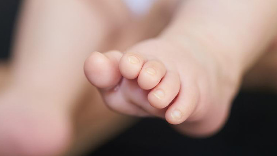 Baby placed in care after parents fail to engage with court