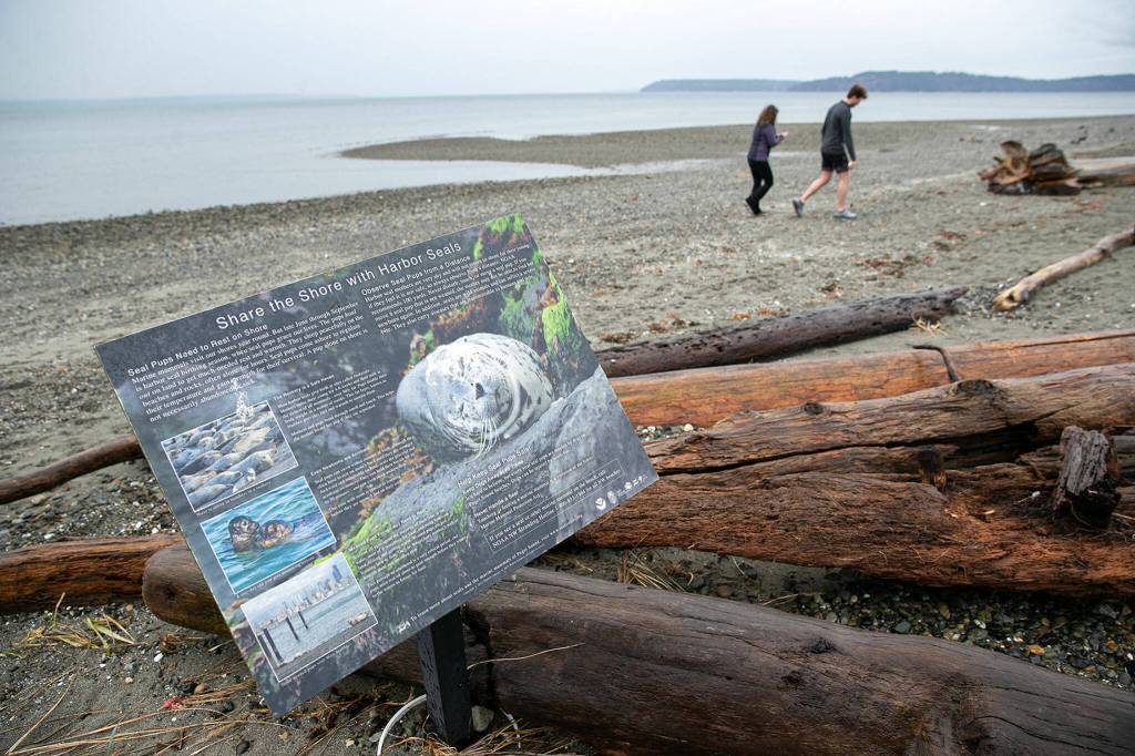 Two people walk along the beach at Meadowdale Beach Park on Thursday, Jan. 12, 2023, in Edmonds, Washington. (Ryan Berry / The Herald)