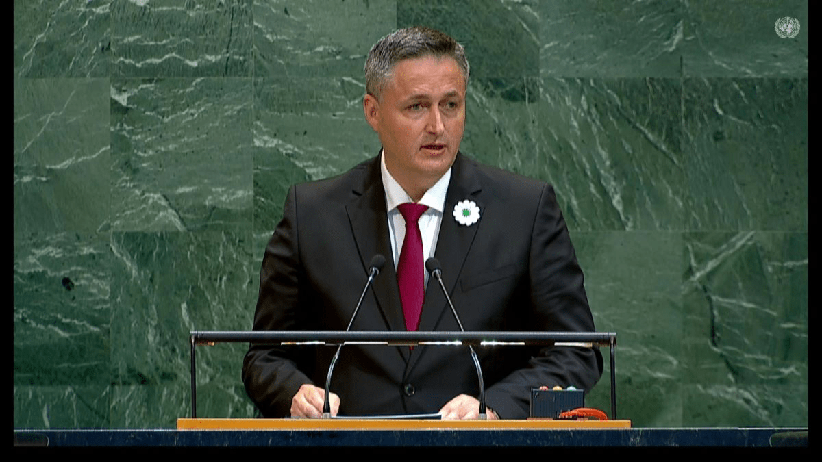 Becirovic in the General Assembly: The Resolution on Srebrenica is a Triumph of Truth